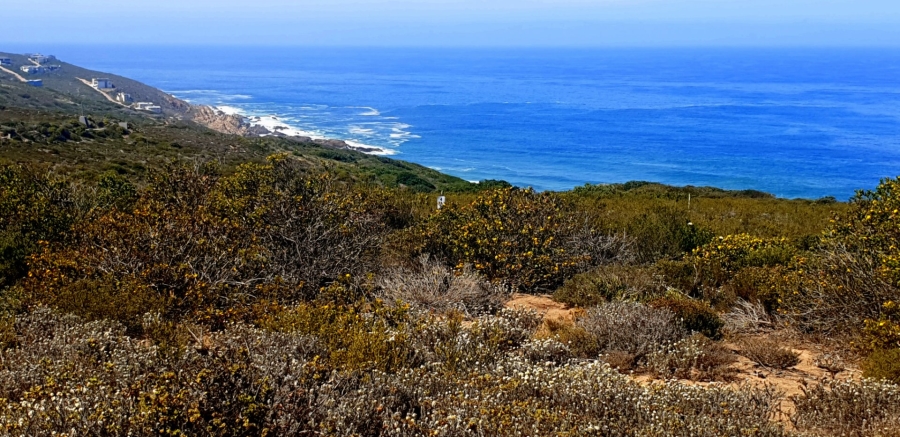 Commercial Property for Sale in Paradise Coast Western Cape